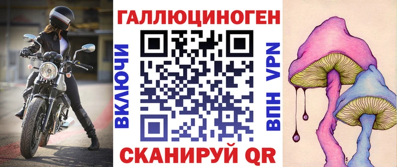 Псилоцибиновые грибы GOLDEN TEACHER  где купить наркоту  Торжок 